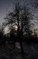 Winter 12.01.09 053